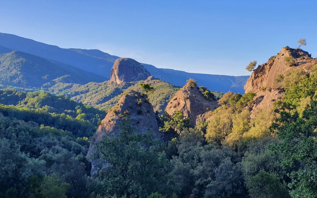 CALABRIA Grecanica