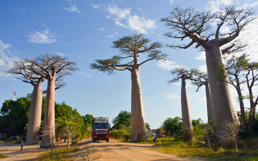 MADAGASCAR. Atmosfere malgasce